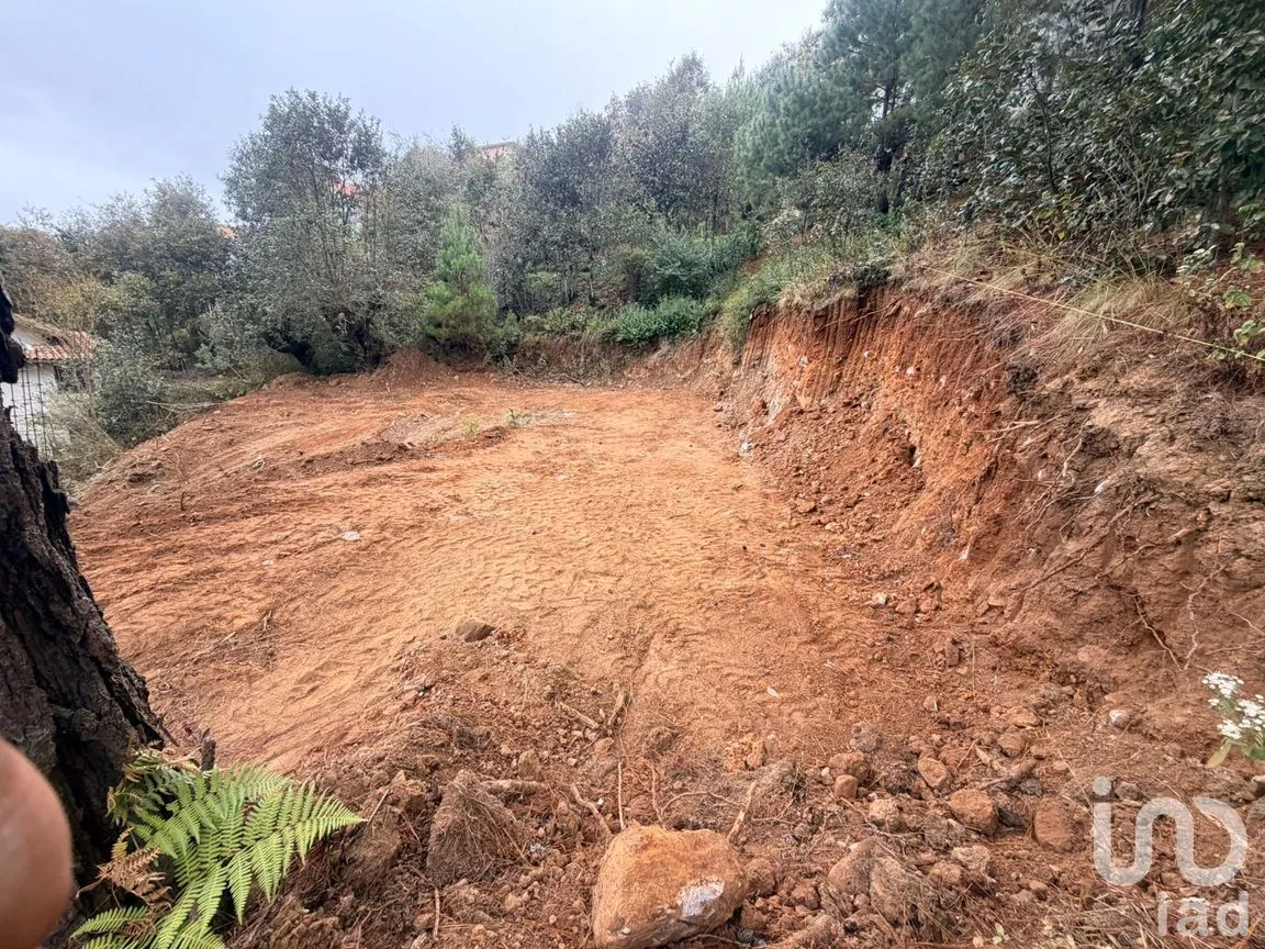 Terreno en Venta en La Garita, San Cristóbal de las Casas, Chiapas | NEX-290074 | iad México | Foto 3 de 11