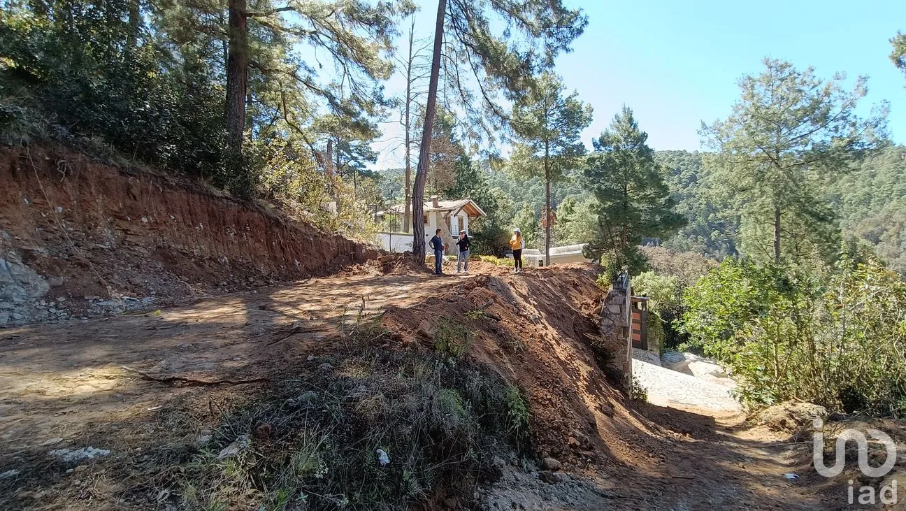 Terreno en Venta en La Garita, San Cristóbal de las Casas, Chiapas | NEX-290074 | iad México | Foto 6 de 11