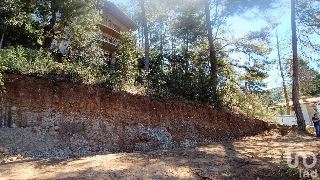 Terreno en Venta en La Garita, San Cristóbal de las Casas, Chiapas | NEX-290074 | iad México | Foto 7 de 11