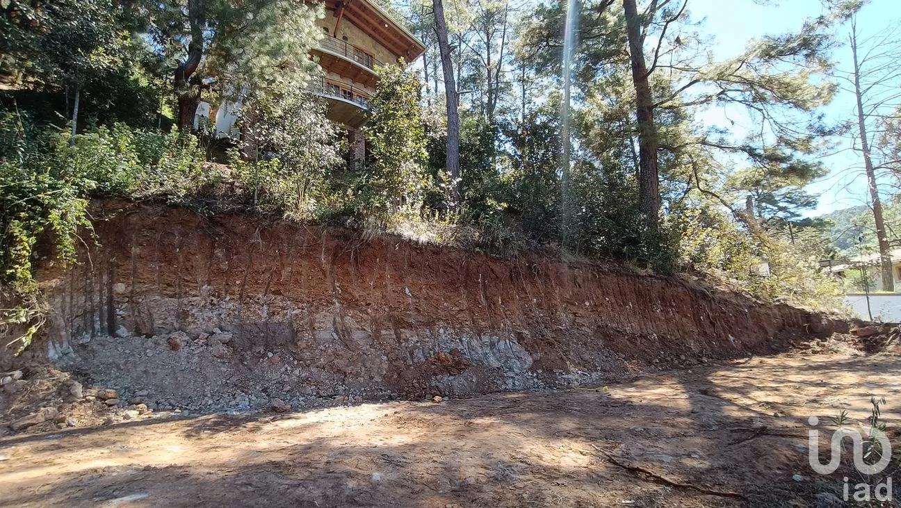 Terreno en Venta en La Garita, San Cristóbal de las Casas, Chiapas | NEX-290074 | iad México | Foto 8 de 11