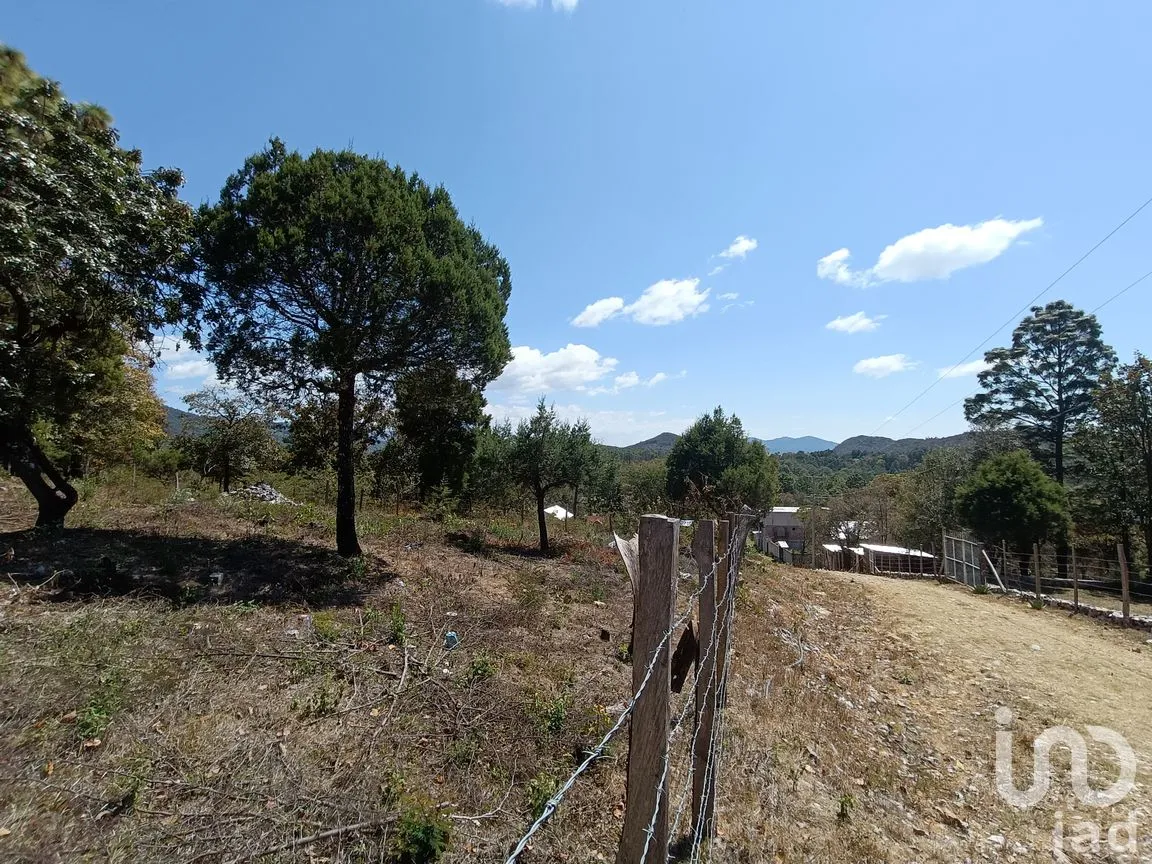 Terreno en Venta en Teopisca, Teopisca, Chiapas | NEX-292006 | iad México | Foto 11 de 13
