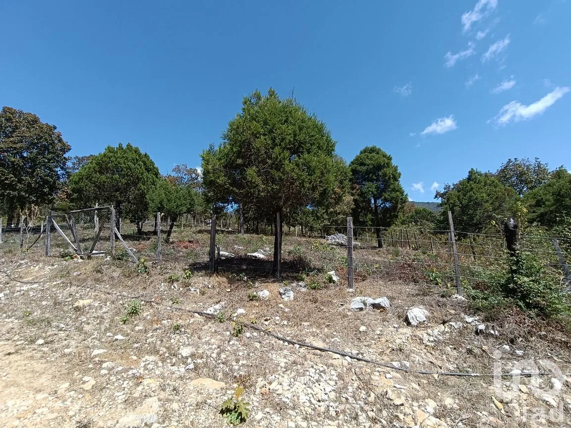Terreno en Venta en Teopisca, Teopisca, Chiapas | NEX-292006 | iad México | Foto 12 de 13