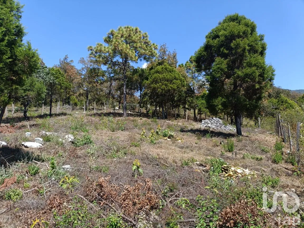 Terreno en Venta en Teopisca, Teopisca, Chiapas | NEX-292006 | iad México | Foto 13 de 13
