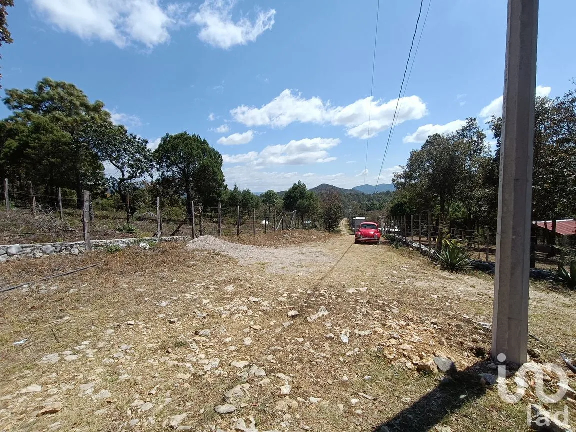 Terreno en Venta en Teopisca, Teopisca, Chiapas | NEX-292006 | iad México | Foto 3 de 13
