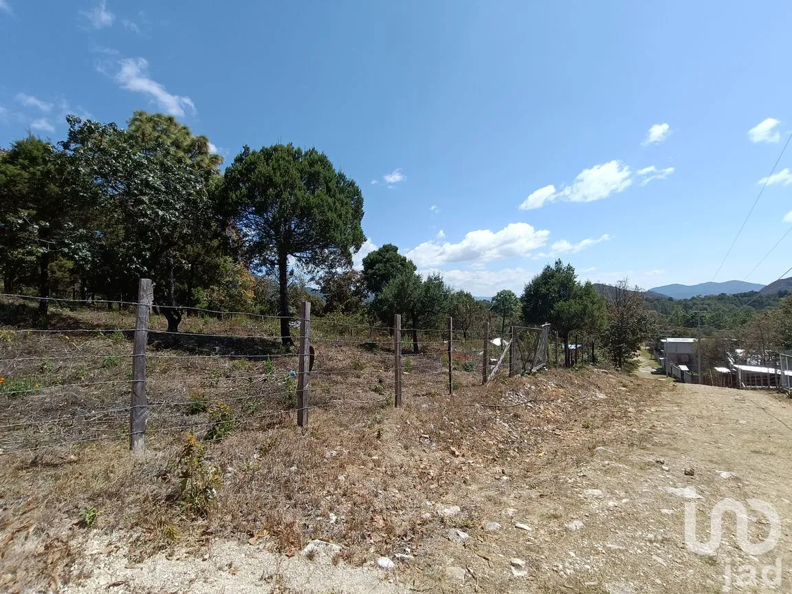 Terreno en Venta en Teopisca, Teopisca, Chiapas | NEX-292006 | iad México | Foto 4 de 13