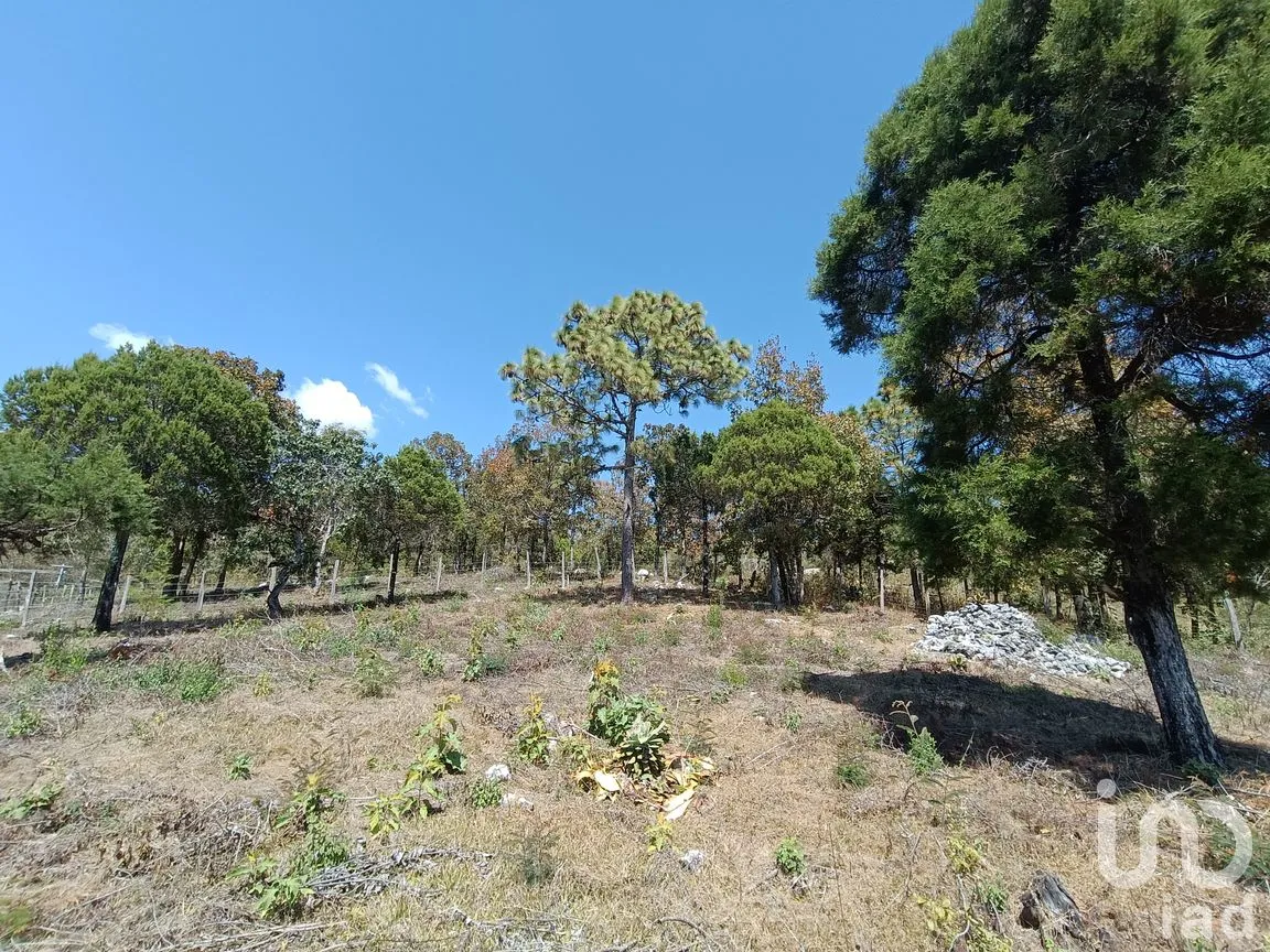 Terreno en Venta en Teopisca, Teopisca, Chiapas | NEX-292006 | iad México | Foto 5 de 13