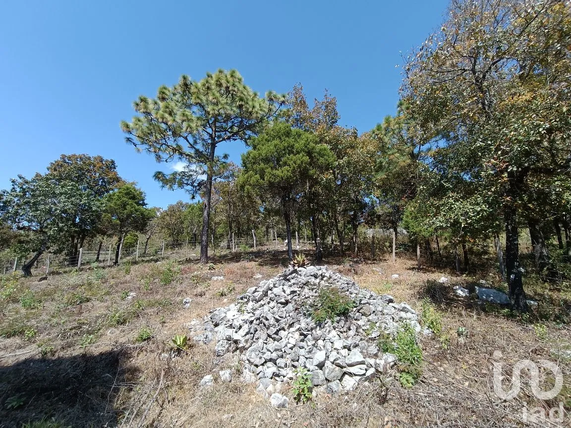 Terreno en Venta en Teopisca, Teopisca, Chiapas | NEX-292006 | iad México | Foto 6 de 13