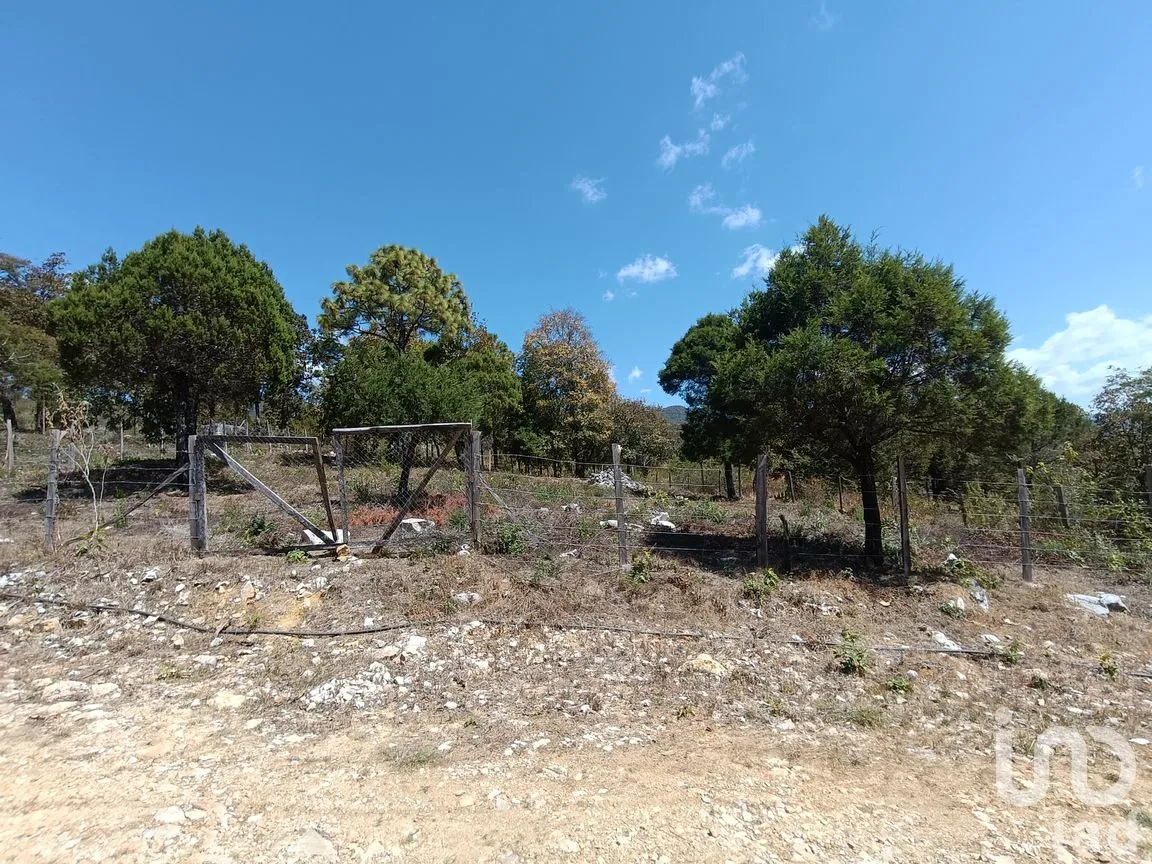Terreno en Venta en Teopisca, Teopisca, Chiapas | NEX-292006 | iad México | Foto 7 de 13