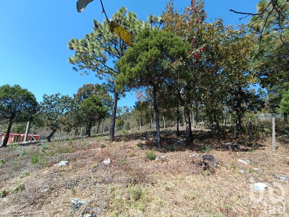 Terreno en Venta en Teopisca, Teopisca, Chiapas | NEX-292006 | iad México | Foto 9 de 13