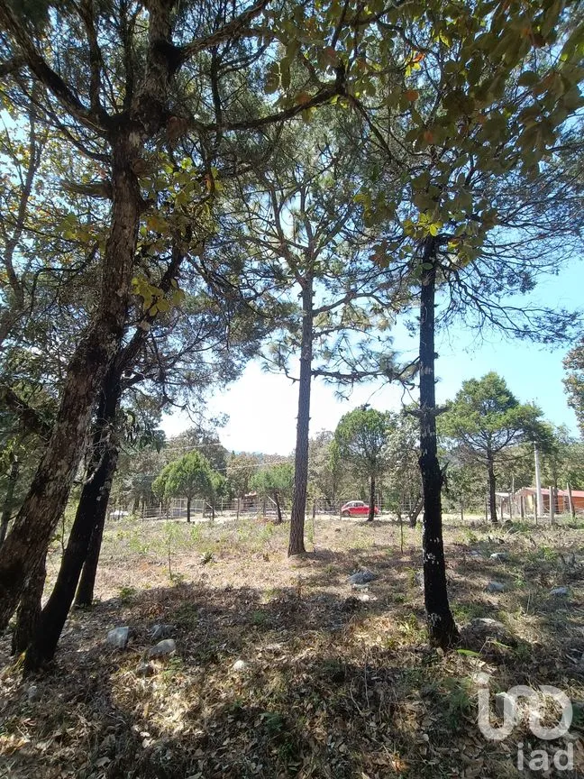 Terreno en Venta en Teopisca, Teopisca, Chiapas | NEX-292006 | iad México | Foto 10 de 13