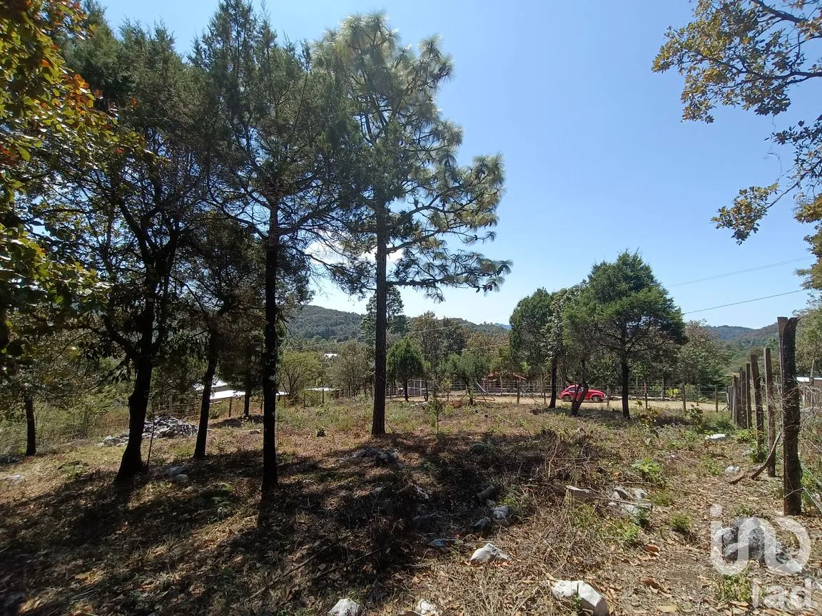 Terreno en Venta en Teopisca, Teopisca, Chiapas | NEX-292006 | iad México | Foto 1 de 13