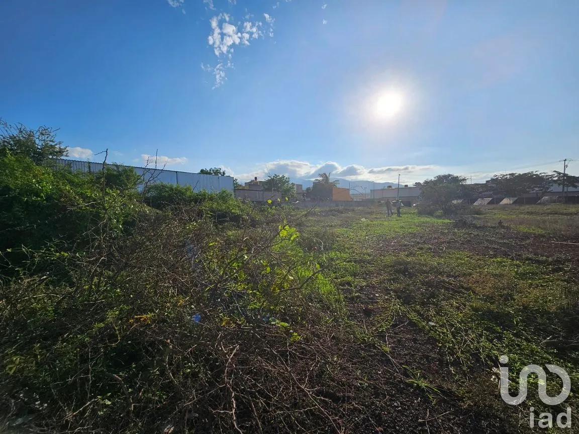 Terreno en Venta en Benito Juárez Oriente, Tepic, Nayarit | NEX-192508 | iad México | Foto 3 de 7