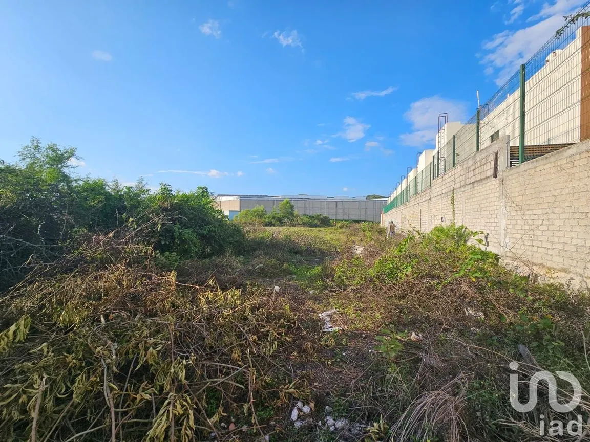 Terreno en Venta en Benito Juárez Oriente, Tepic, Nayarit | NEX-192508 | iad México | Foto 4 de 7