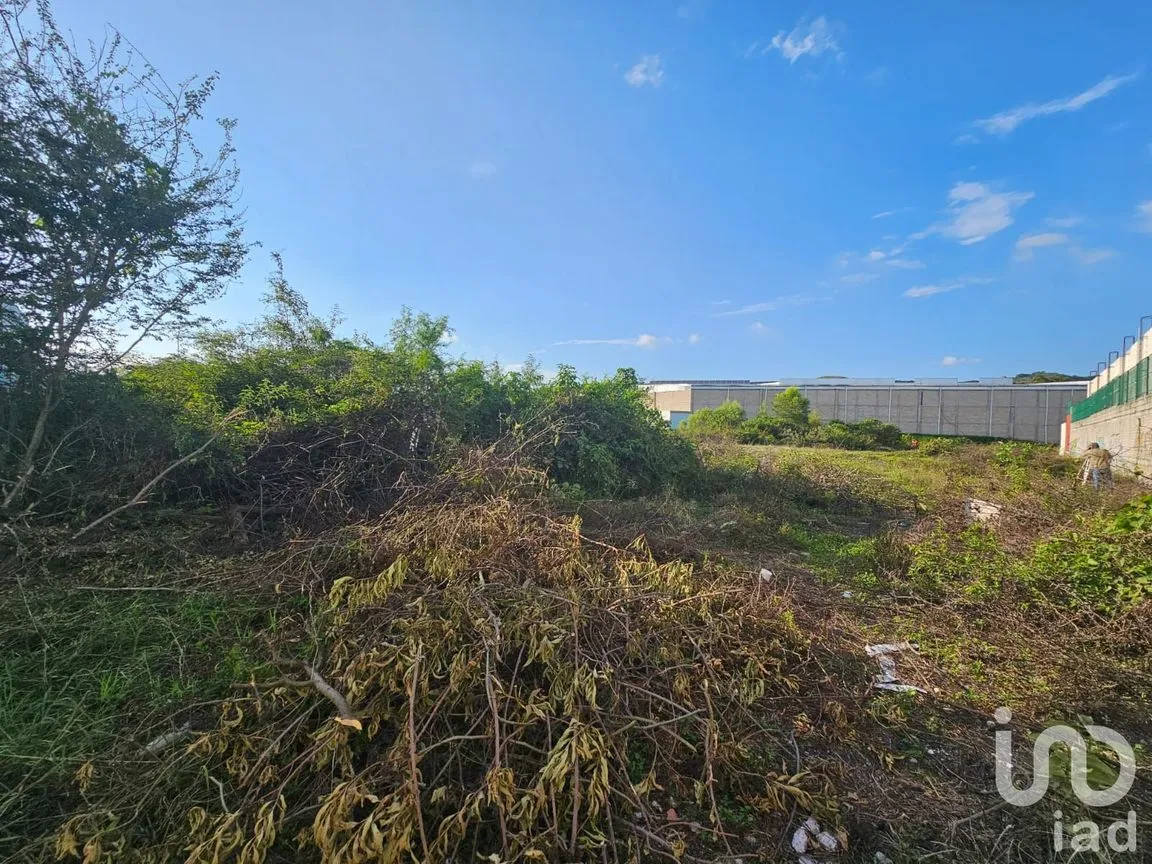 Terreno en Venta en Benito Juárez Oriente, Tepic, Nayarit | NEX-192508 | iad México | Foto 5 de 7