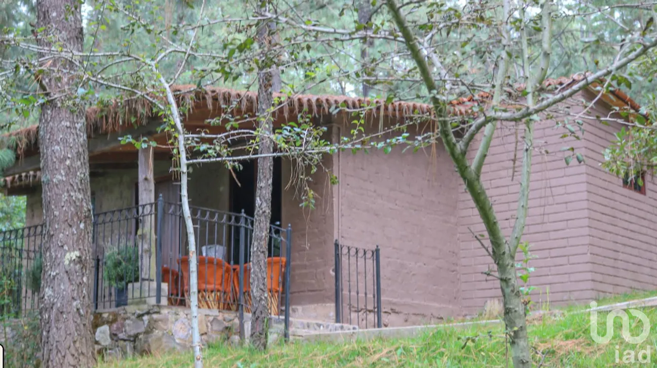 Hotel en Venta en Juanacatlan, Tapalpa, Jalisco | NEX-250625 | iad México | Foto 3 de 14