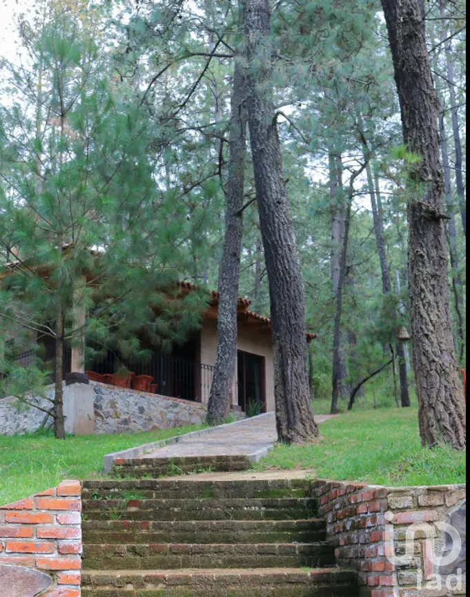 Hotel en Venta en Juanacatlan, Tapalpa, Jalisco | NEX-250625 | iad México | Foto 7 de 14