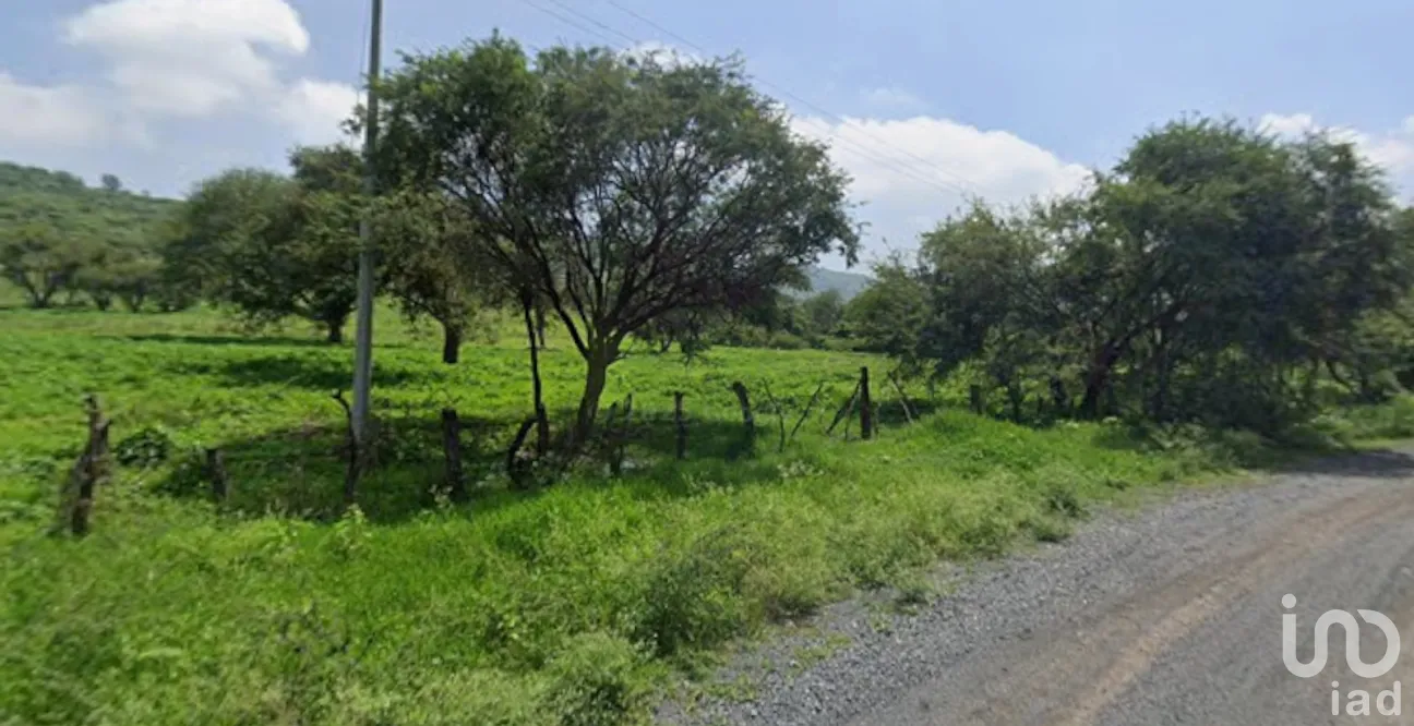 Terreno en Renta en Ixtlahuacan de los Membrillos, Ixtlahuacán de los Membrillos, Jalisco | NEX-253472 | iad México | Foto 7 de 10