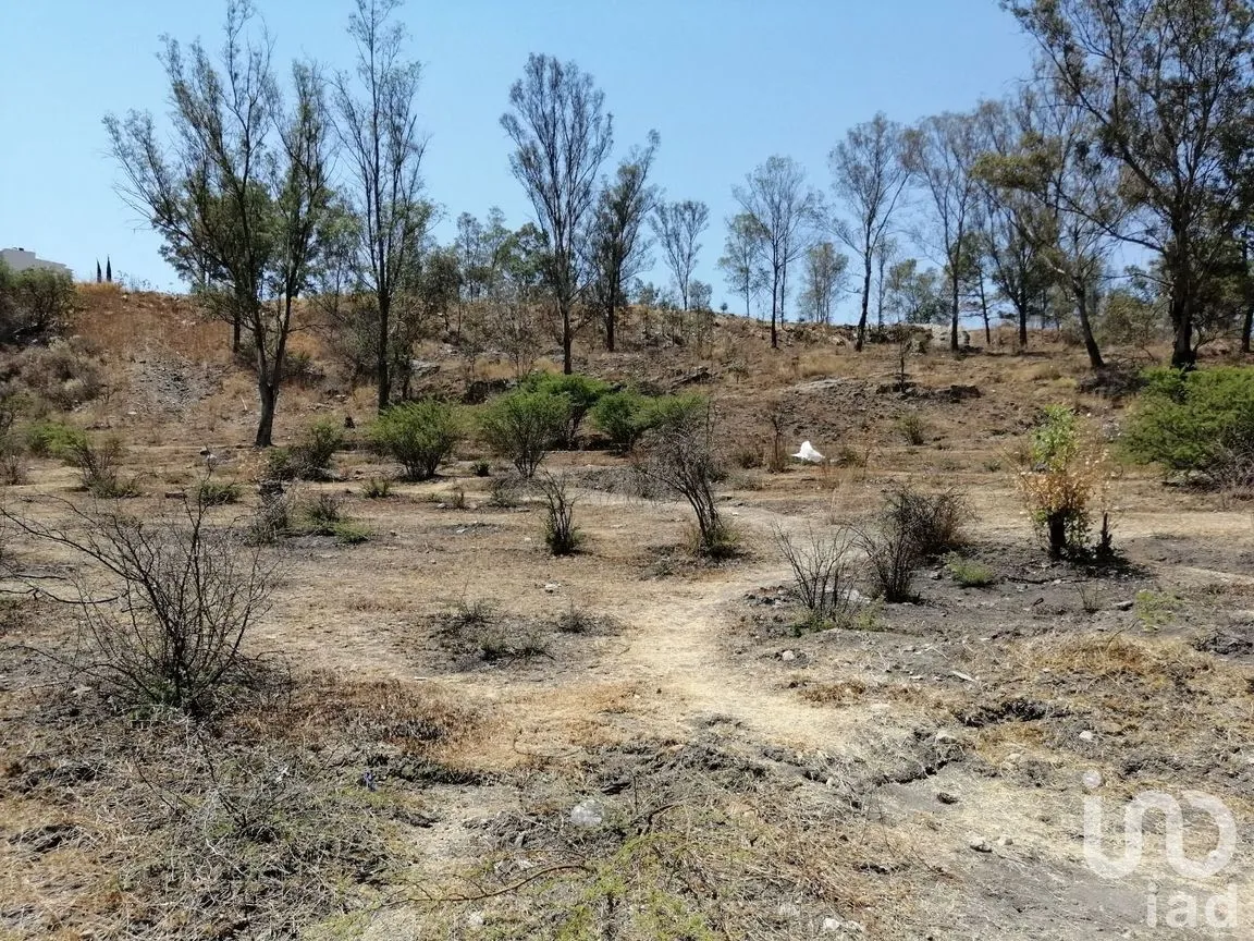 Terreno en Venta en Los Ángeles, Morelia, Michoacán de Ocampo | NEX-238144 | iad México | Foto 5 de 9