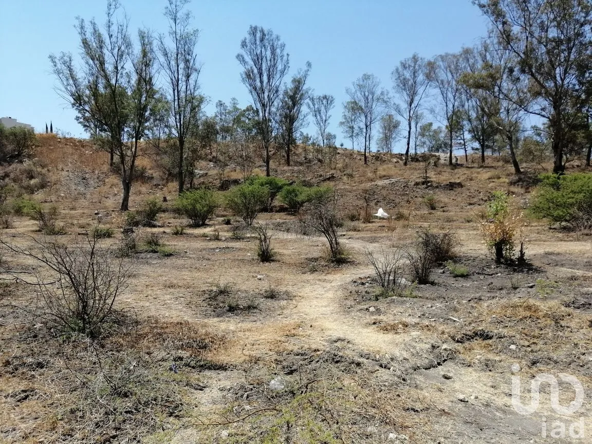 Terreno en Venta en Los Ángeles, Morelia, Michoacán de Ocampo | NEX-238144 | iad México | Foto 5 de 9