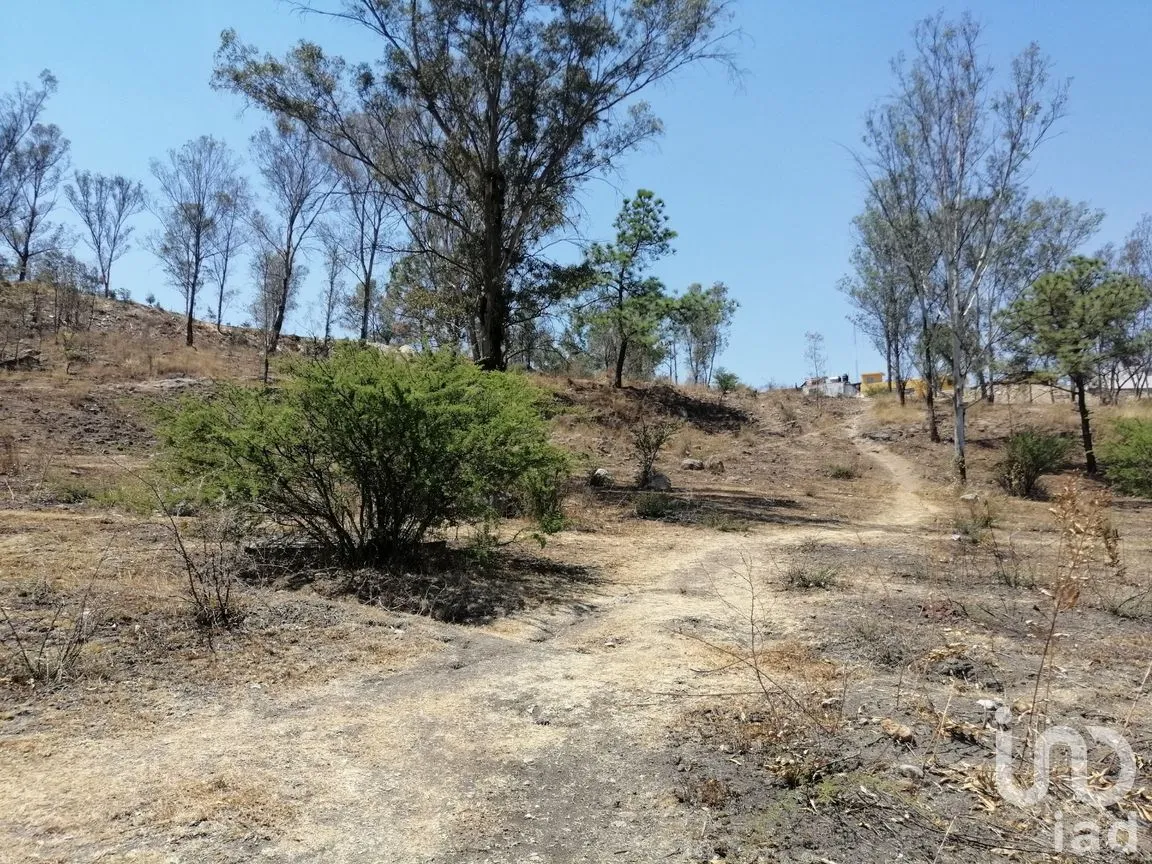 Terreno en Venta en Los Ángeles, Morelia, Michoacán de Ocampo | NEX-238144 | iad México | Foto 5 de 7