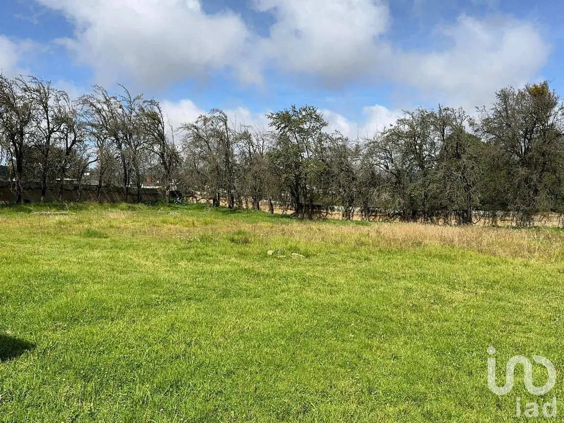 Terreno en Venta en Cruz Blanca, Villa Aldama, Veracruz de Ignacio de la Llave | NEX-263991 | iad México | Foto 2 de 5