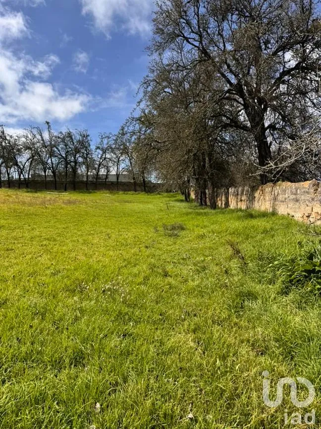 Terreno en Venta en Cruz Blanca, Villa Aldama, Veracruz de Ignacio de la Llave | NEX-263991 | iad México | Foto 3 de 5