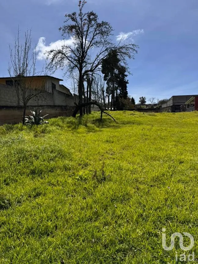 Terreno en Venta en Cruz Blanca, Villa Aldama, Veracruz de Ignacio de la Llave | NEX-263991 | iad México | Foto 4 de 5