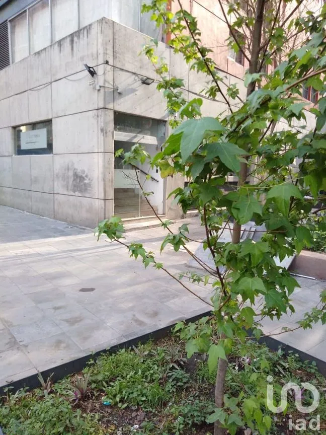 Departamento en Venta en Centro (Área 1), Cuauhtémoc, Ciudad de México | NEX-299364 | iad México | Foto 18 de 18