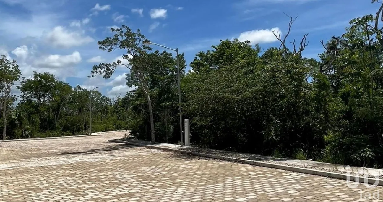Terreno en Venta en Las Palmas, Tulum, Quintana Roo