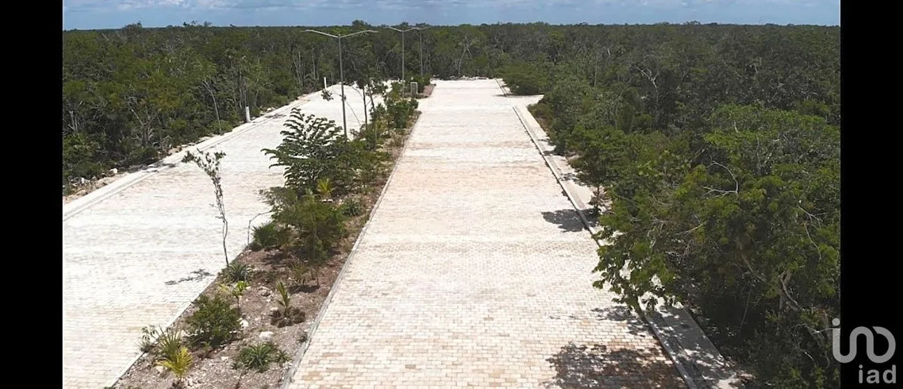 Terreno en Venta en Las Palmas, Tulum, Quintana Roo | NEX-198324 | iad México | Foto 2 de 5
