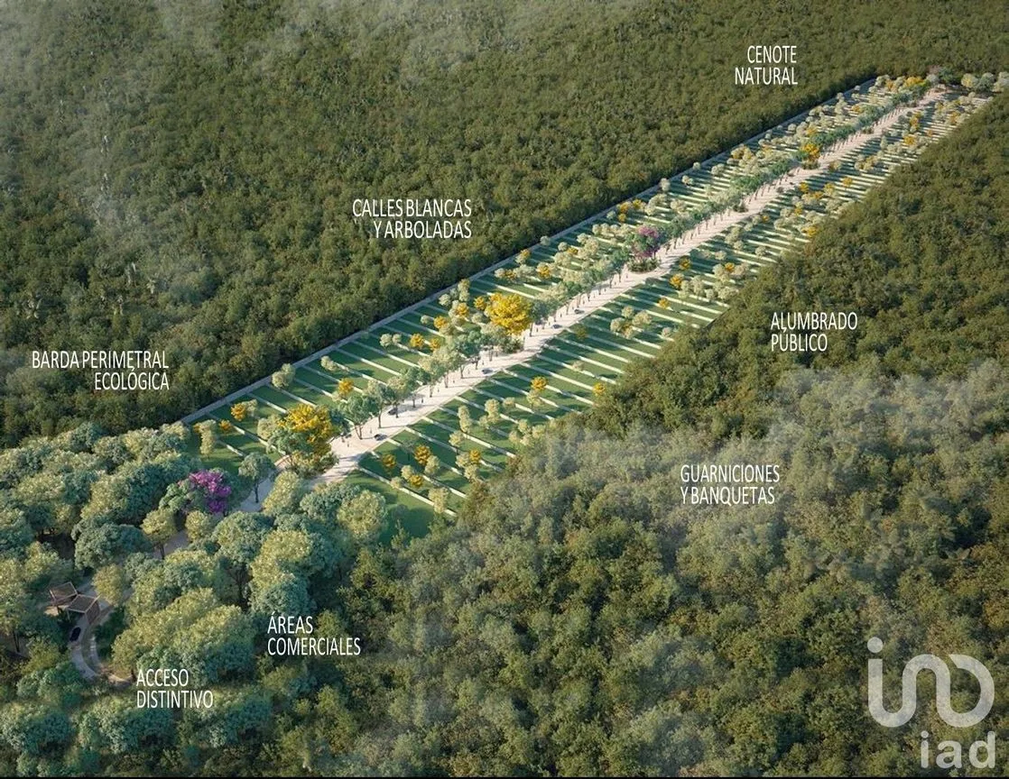 Terreno en Venta en Tulum Centro, Tulum, Quintana Roo | NEX-198344 | iad México | Foto 3 de 5