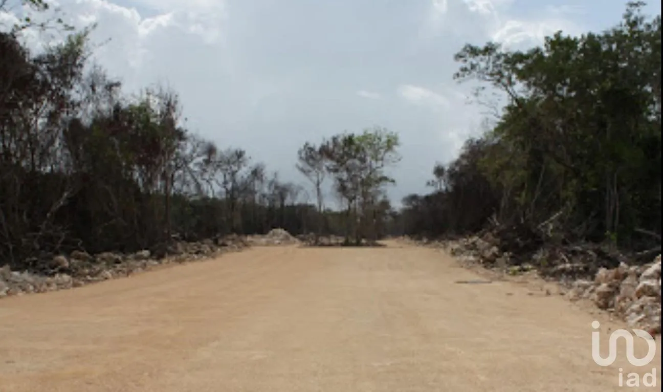 Terreno en Venta en Tulum Centro, Tulum, Quintana Roo | NEX-198344 | iad México | Foto 4 de 5