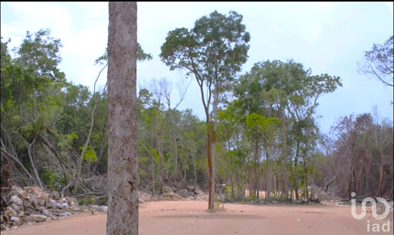 Terreno en Venta en Ya Ax Tulum, Tulum, Quintana Roo | NEX-198398 | iad México | Foto 2 de 8