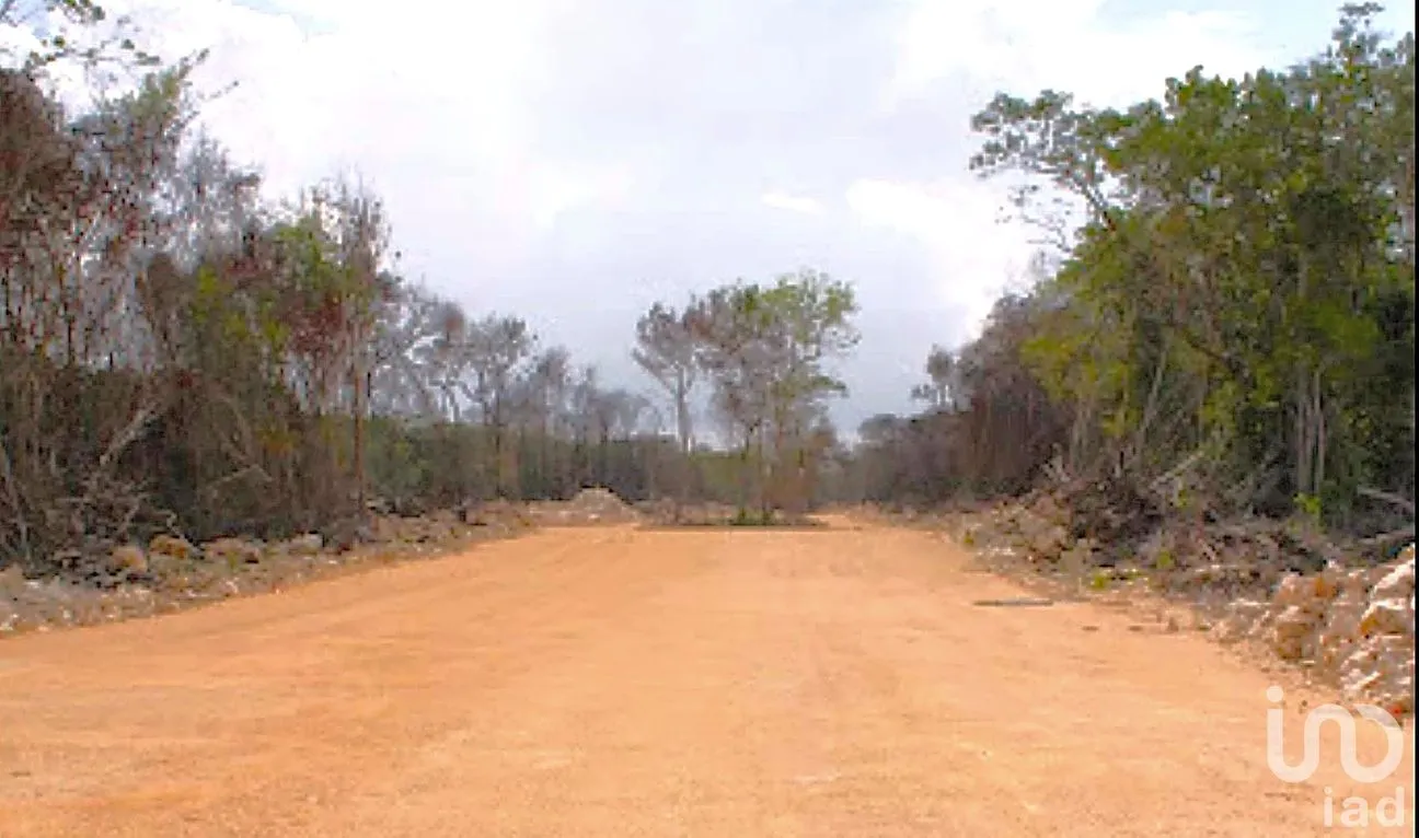 Terreno en Venta en Ya Ax Tulum, Tulum, Quintana Roo | NEX-198398 | iad México | Foto 5 de 8