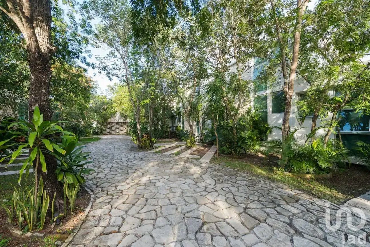 Departamento en Renta en Tulum Centro, Tulum, Quintana Roo | NEX-203474 | iad México | Foto 1 de 12