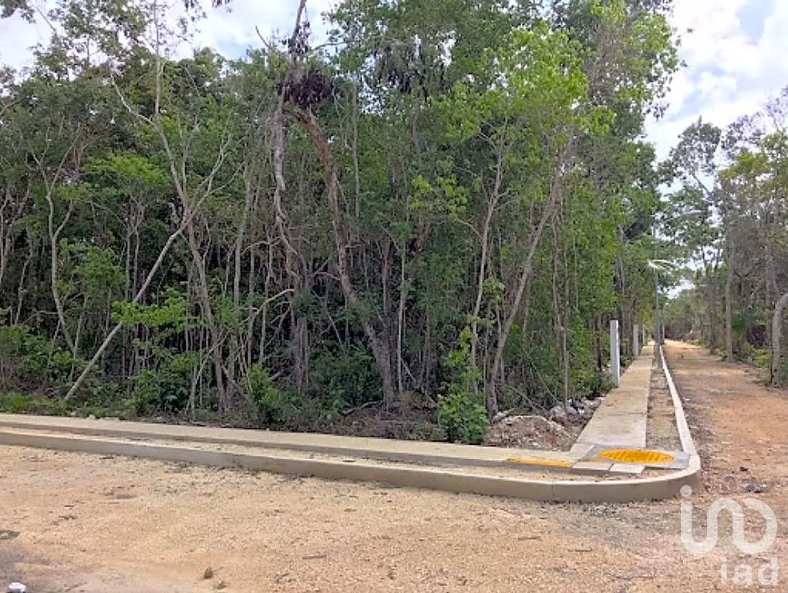 Terreno en Venta en La Veleta, Tulum, Quintana Roo | NEX-204016 | iad México | Foto 2 de 5