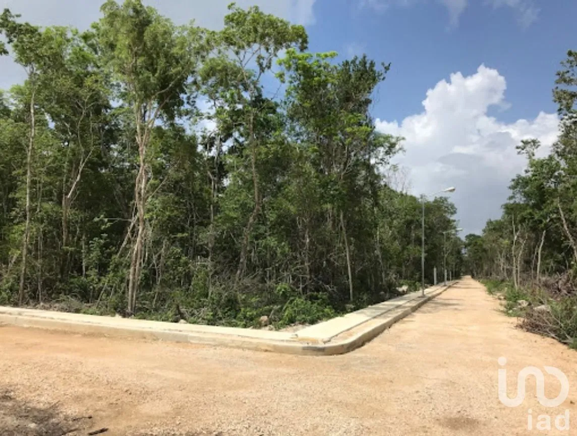 Terreno en Venta en La Veleta, Tulum, Quintana Roo | NEX-204016 | iad México | Foto 3 de 5