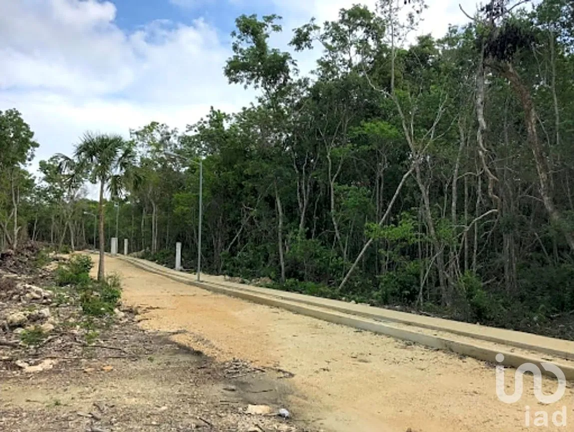 Terreno en Venta en La Veleta, Tulum, Quintana Roo | NEX-204016 | iad México | Foto 4 de 5