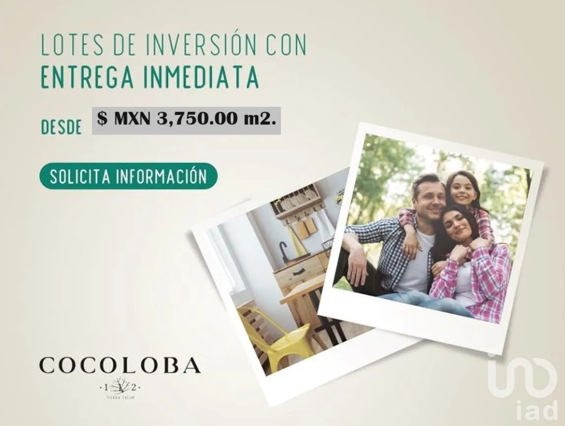 Terreno en Venta en La Veleta, Tulum, Quintana Roo | NEX-204016 | iad México | Foto 5 de 5
