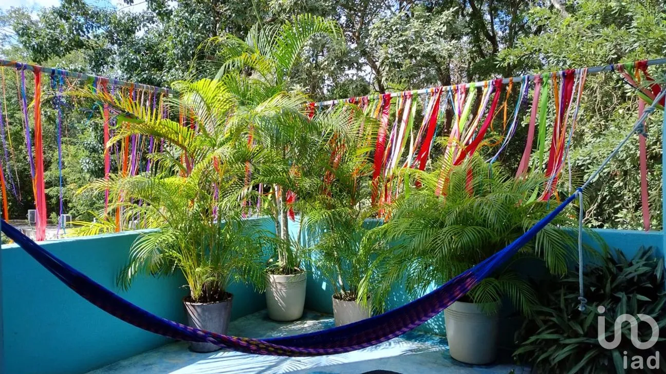 Edificio en Venta en Tulum Centro, Tulum, Quintana Roo | NEX-220711 | iad México | Foto 15 de 29