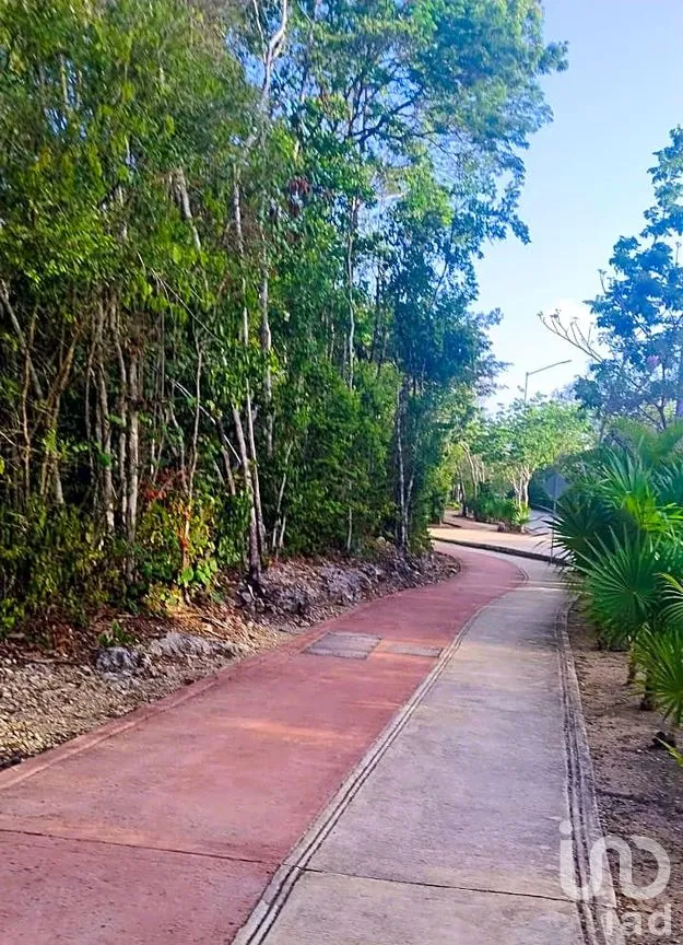 Departamento en Renta en Ciudad Mayakoba, Solidaridad, Quintana Roo | NEX-232963 | iad México | Foto 19 de 23