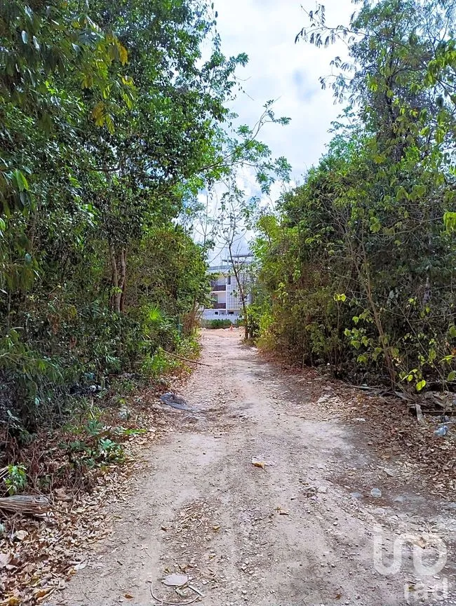 Terreno en Venta en La Veleta, Tulum, Quintana Roo | NEX-237493 | iad México | Foto 4 de 7