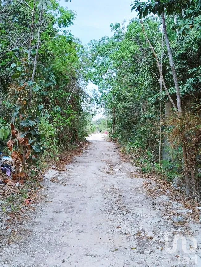 Terreno en Venta en La Veleta, Tulum, Quintana Roo | NEX-237493 | iad México | Foto 5 de 7