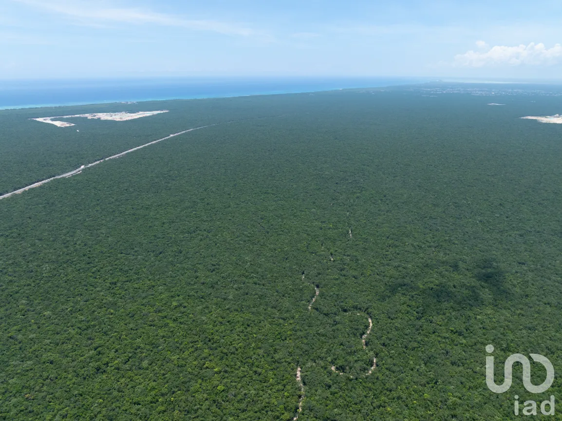 Terreno en Venta en Tankah Cuatro, Tulum, Quintana Roo | NEX-240441 | iad México | Foto 2 de 12