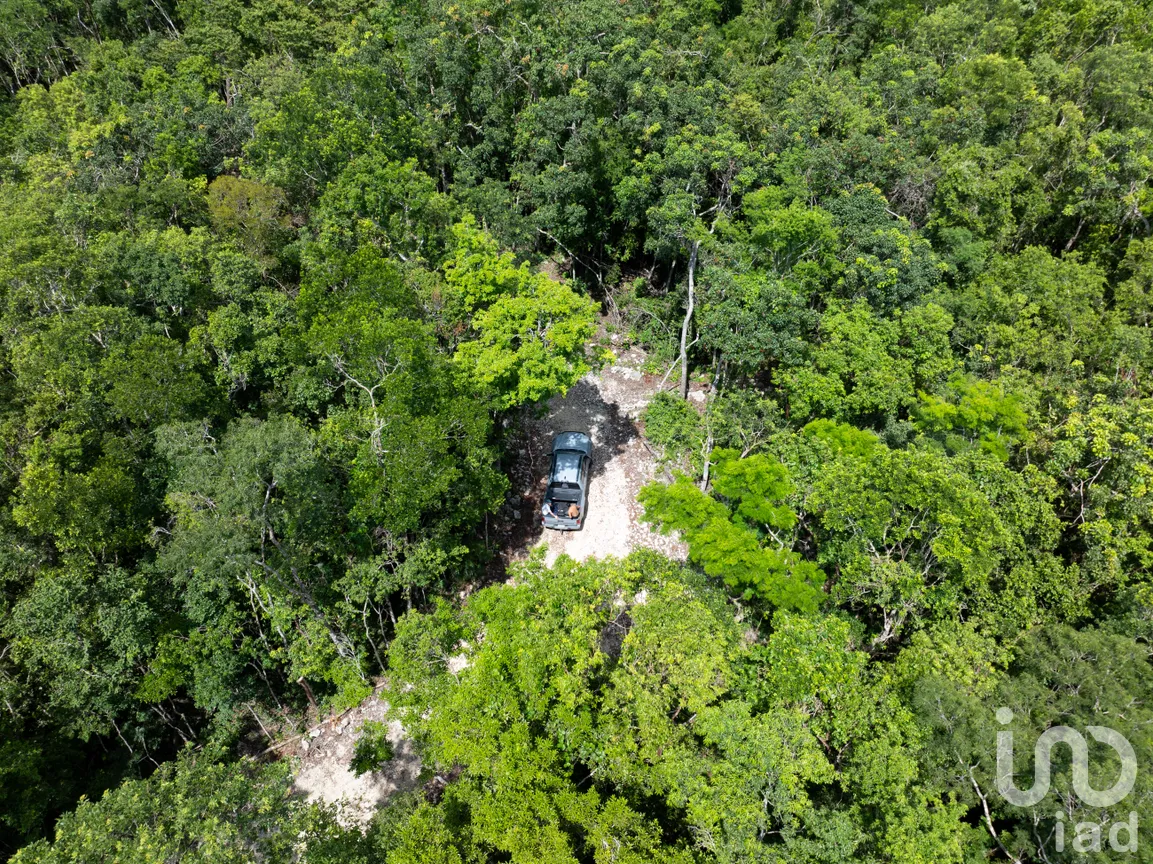 Terreno en Venta en Tankah Cuatro, Tulum, Quintana Roo | NEX-240441 | iad México | Foto 3 de 12