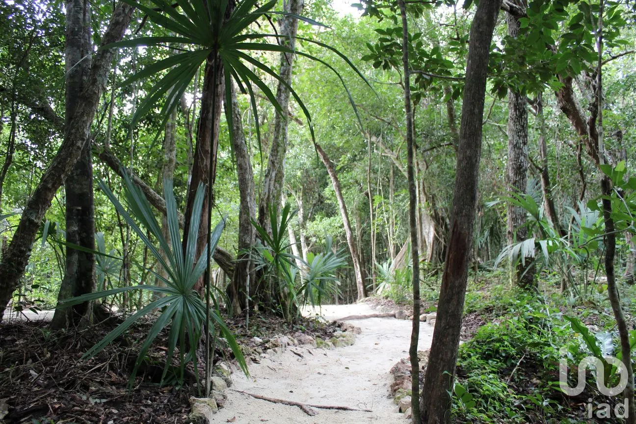 Terreno en Venta en Tankah Cuatro, Tulum, Quintana Roo | NEX-240441 | iad México | Foto 5 de 12