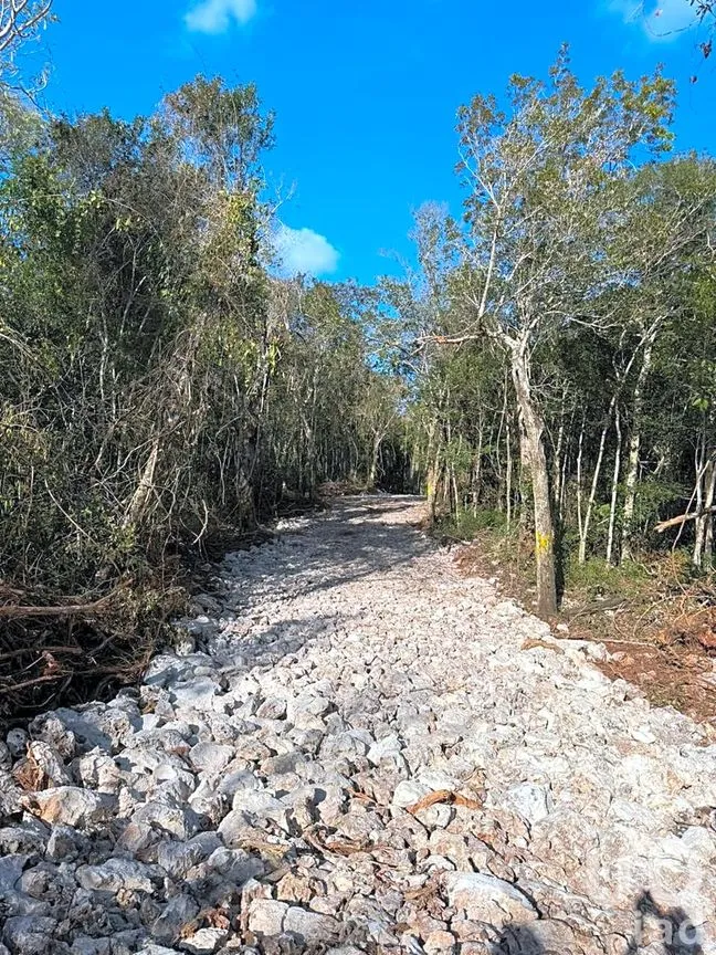 Terreno en Venta en Tankah Cuatro, Tulum, Quintana Roo | NEX-240441 | iad México | Foto 8 de 12