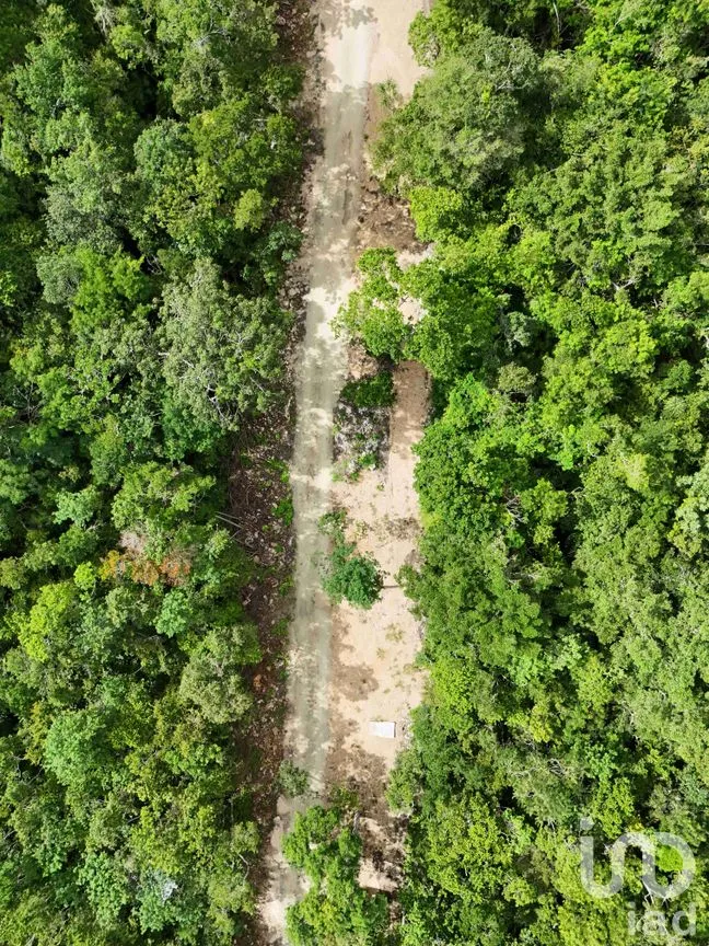 Terreno en Venta en Ciudad Chemuyil, Tulum, Quintana Roo | NEX-241592 | iad México | Foto 3 de 5
