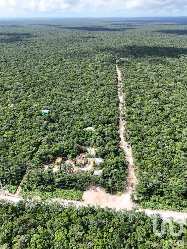 Terreno en Venta en Ciudad Chemuyil, Tulum, Quintana Roo | NEX-241592 | iad México | Foto 1 de 5
