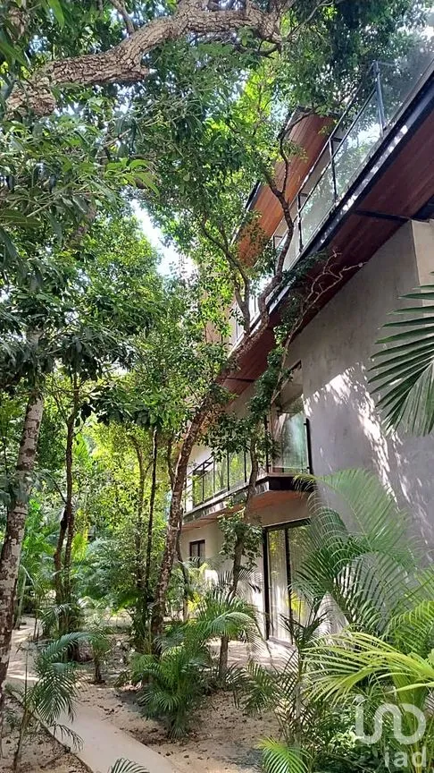 Departamento en Venta en La Veleta, Tulum, Quintana Roo | NEX-260099 | iad México | Foto 8 de 15